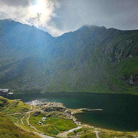 Apartamento Casa Oaspeti Transfagarasan Cîrţişoara Exterior foto