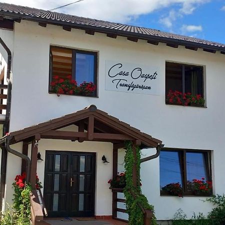 Apartamento Casa Oaspeti Transfagarasan Cîrţişoara Exterior foto