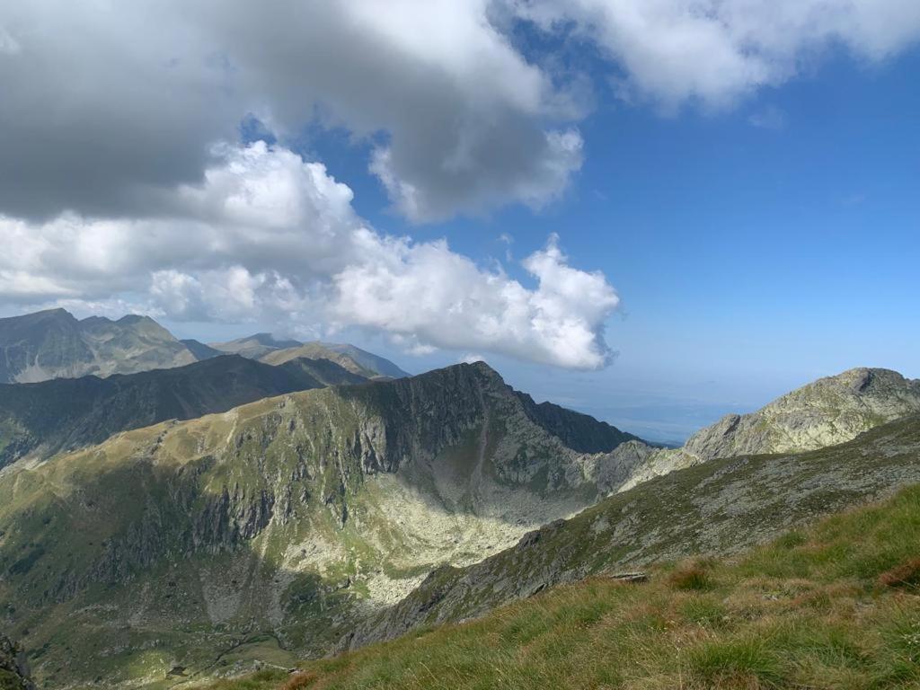 Apartamento Casa Oaspeti Transfagarasan Cîrţişoara Exterior foto