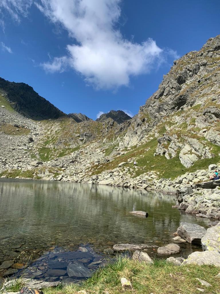 Apartamento Casa Oaspeti Transfagarasan Cîrţişoara Exterior foto