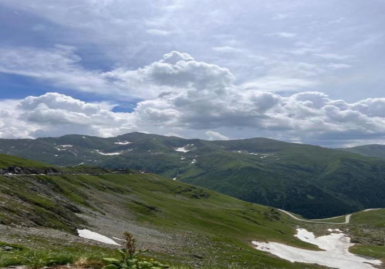 Apartamento Casa Oaspeti Transfagarasan Cîrţişoara Exterior foto